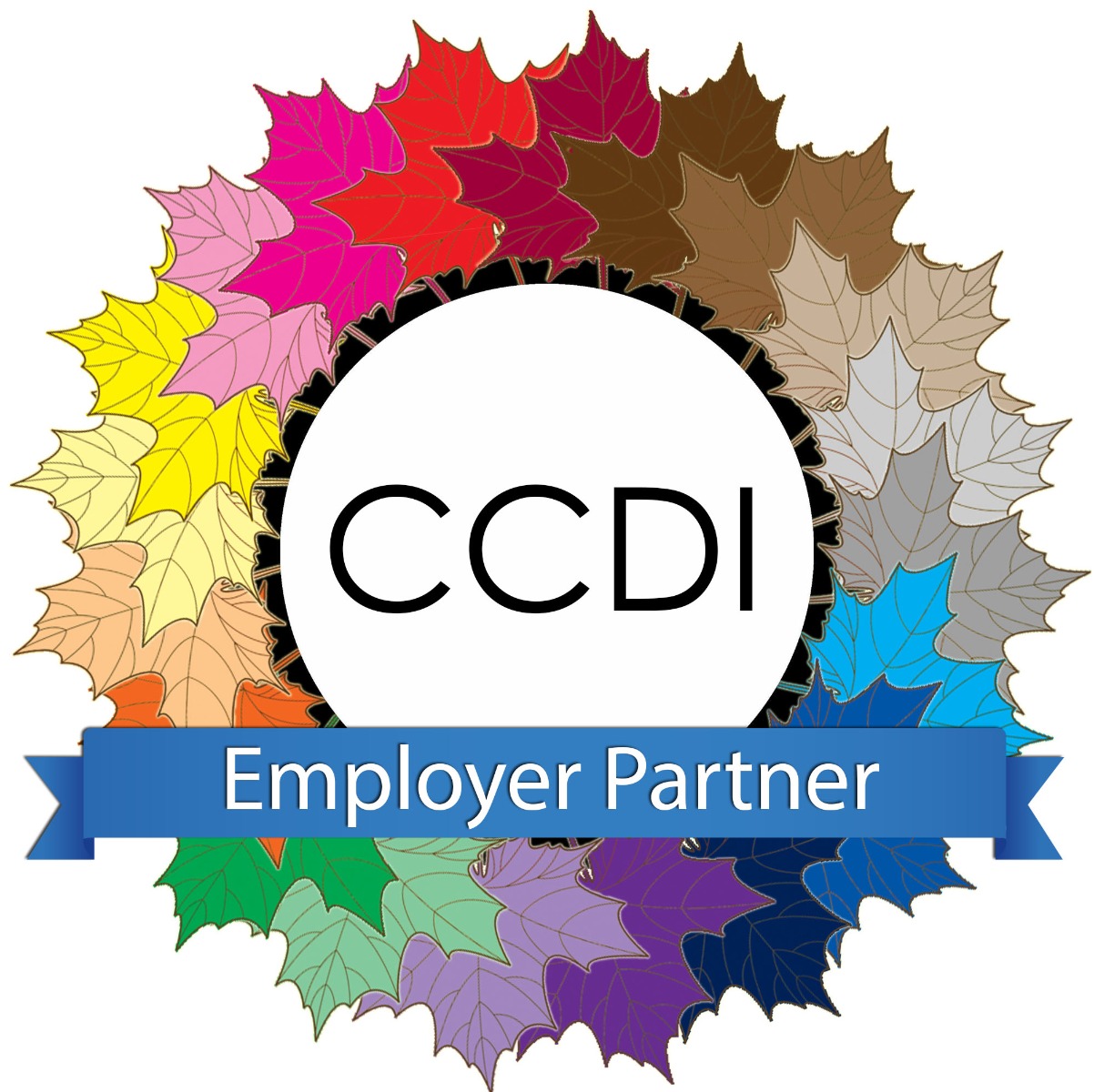 CCDI Employee Partner Badge 中纪委员工伙伴证