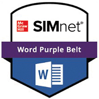 SIMnet Purple Belt Badge SIMnet紫带徽章