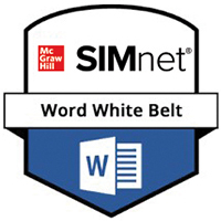 SIMnet White Belt Badge SIMnet白色腰带徽章
