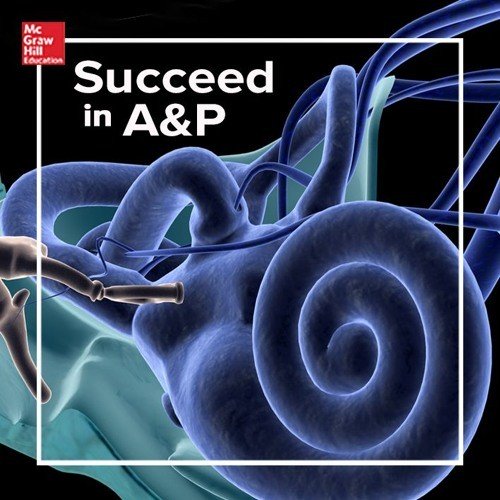 A&P成功